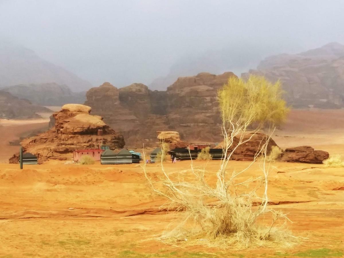 Bedouin Culture Camp Wadi Rum Eksteriør bilde